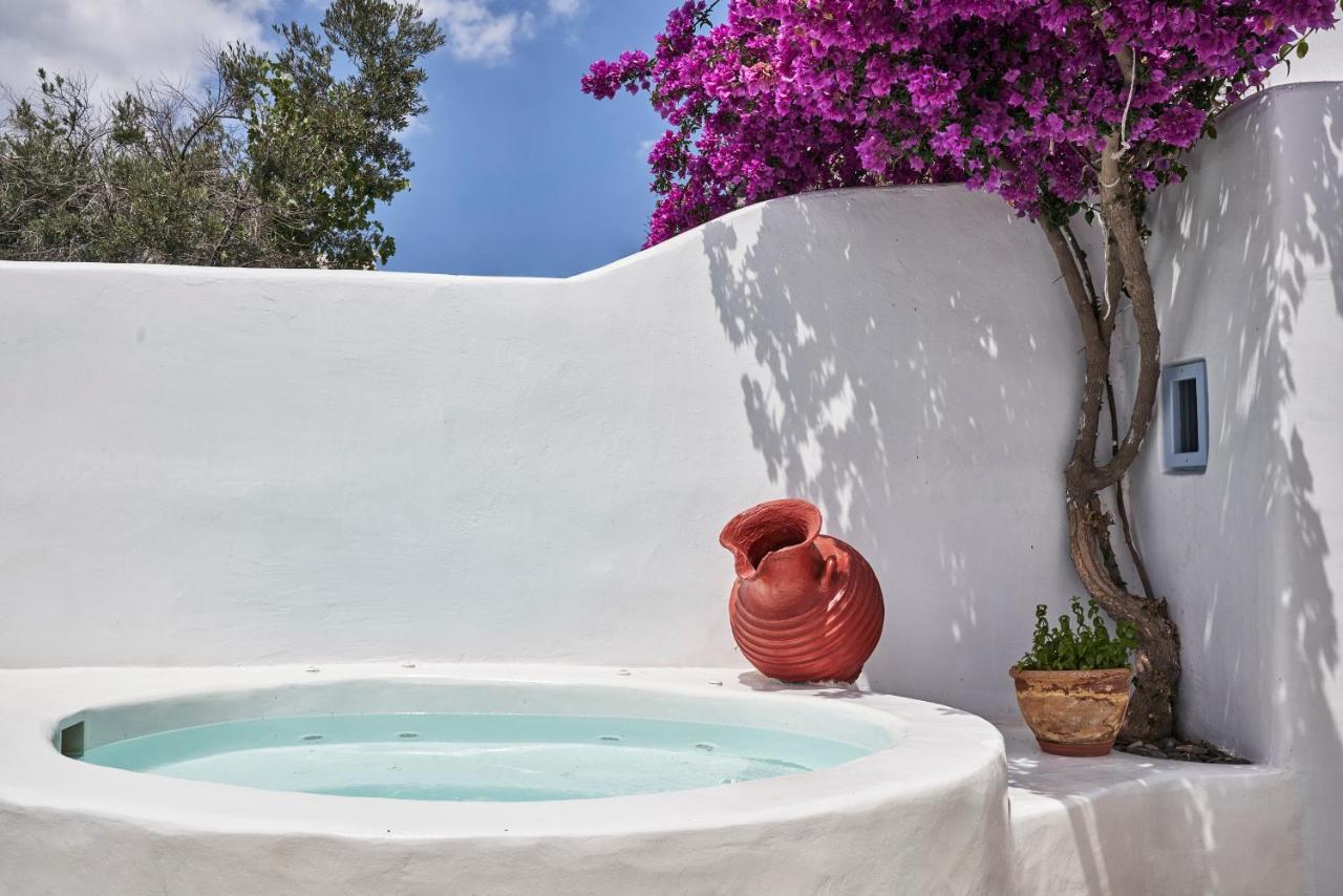 2 Bedroom Charming Villa With Outdoors Jacuzzi Megalochori  Eksteriør bilde