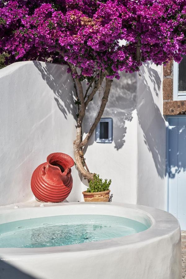 2 Bedroom Charming Villa With Outdoors Jacuzzi Megalochori  Eksteriør bilde